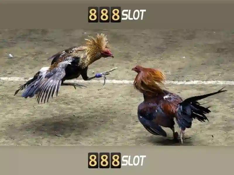 888SLOT – Chính Sách Bảo Mật 888slot Channel Đảm Bảo An Toàn Thông Tin Người Chơi 2026