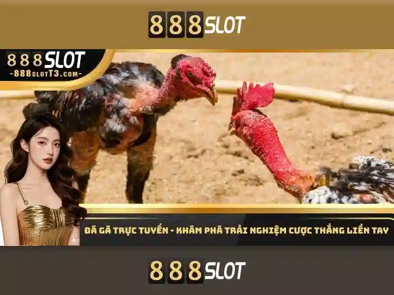 888SLOT - Trang Chủ Slot 888 Win Chính Thức Không Bị Chặn 2026