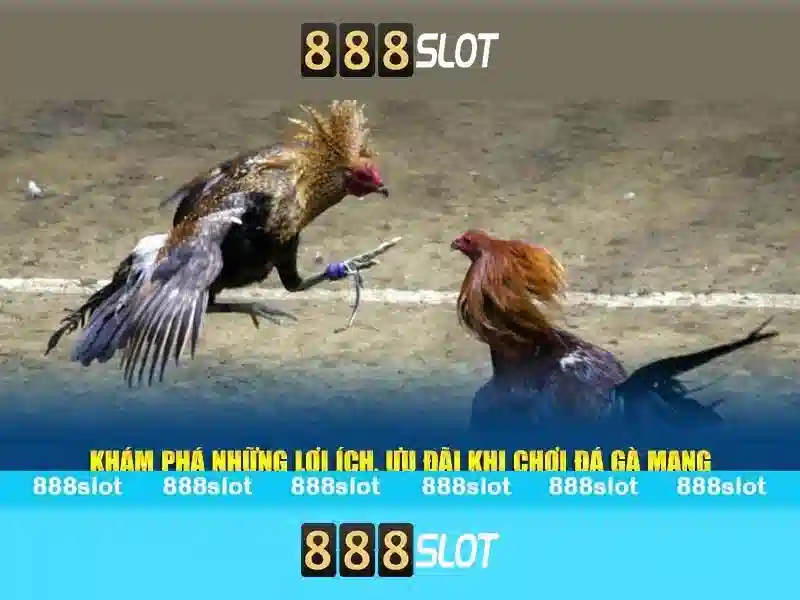 Trải Nghiệm Slot Đỉnh Cao
