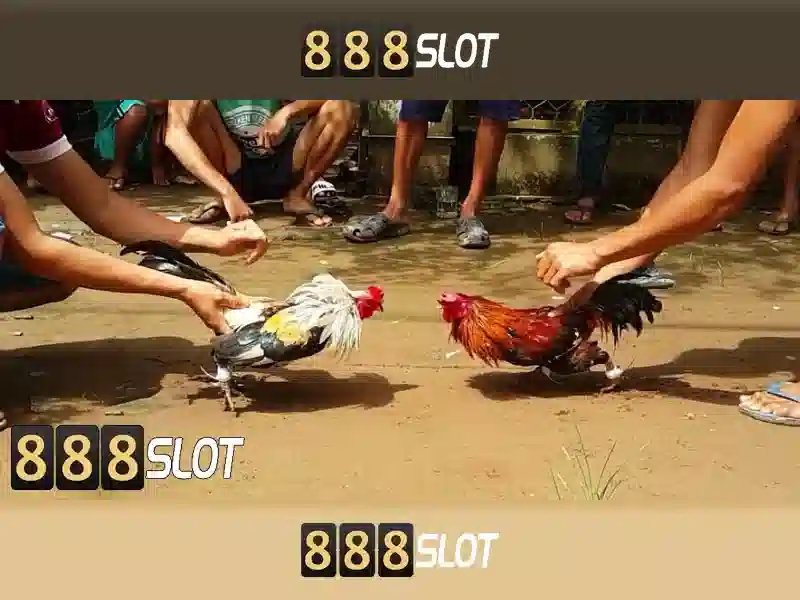 888SLOT – Chương Trình Nhận Thưởng Đặc Biệt Cho Người Chơi 2026