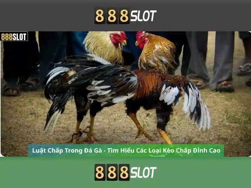 Ưu điểm thể thao 888SLOT