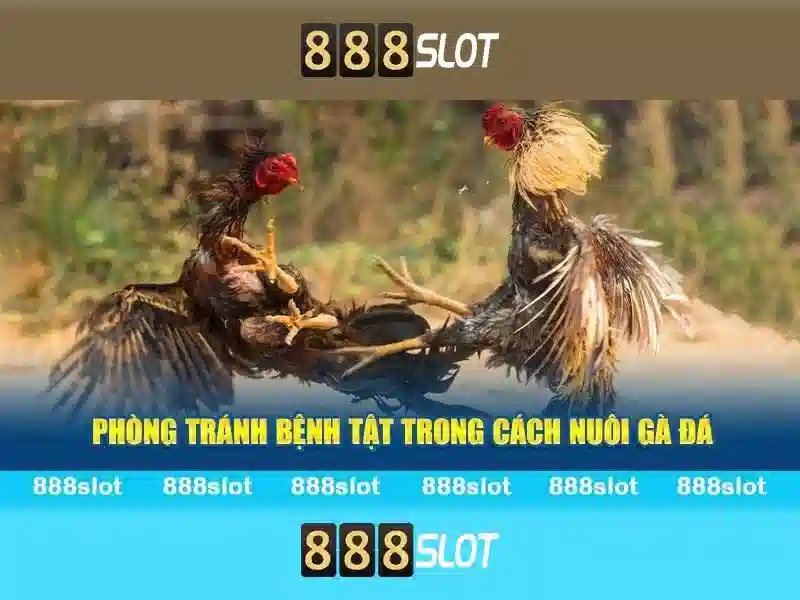 Hướng dẫn đăng ký 888SLOT
