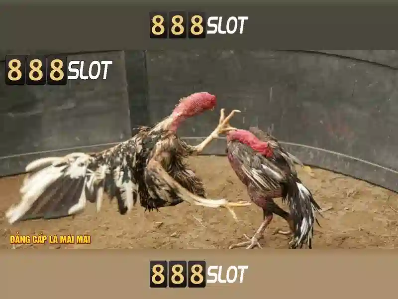 888SLOT – Trải Nghiệm Cá Cược Trực Tuyến Đa Dạng Với 888 slot com 2026