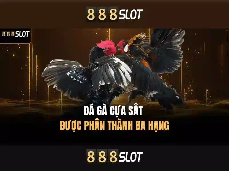 Đăng Nhập 888SLOT – Trang Đăng Nhập HTTPS 888slot Com Login 2026