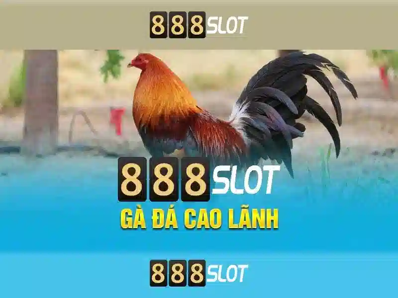 Khám phá 888SLOT Store - Nơi giải trí trực tuyến hàng đầu