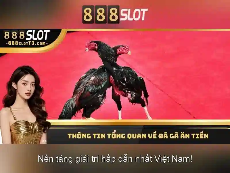 Hướng dẫn nạp rút tiền 888SLOT