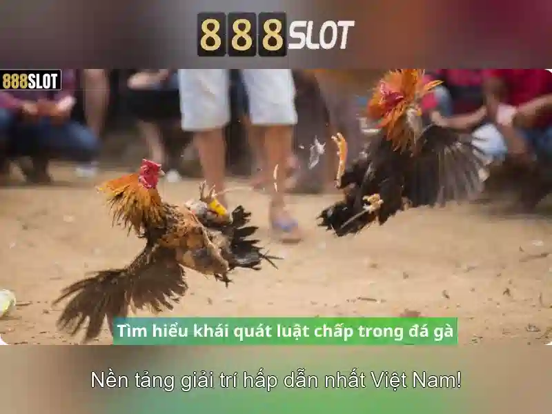 888SLOT – Ưu Đãi 888slot Poker & Trải Nghiệm Slot 2026