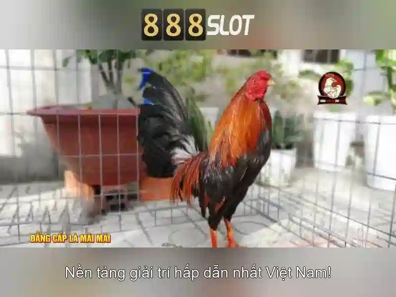 Tải App 888slot