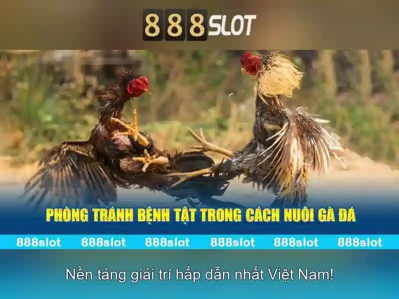 trải nghiệm slot đỉnh cao